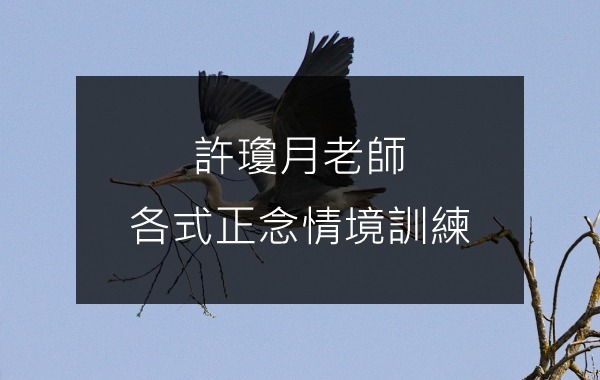 許瓊月老師_各式正念情境訓練